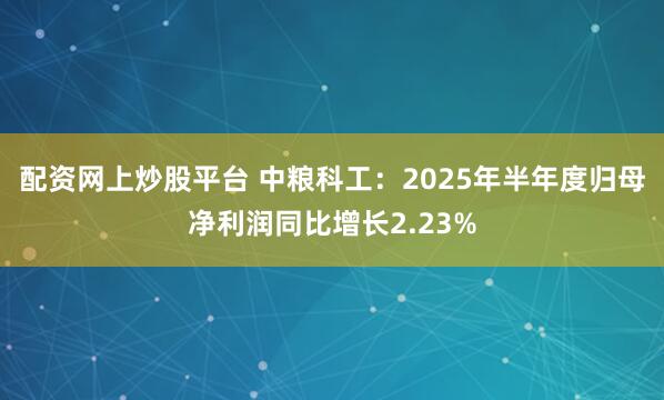 配资网上炒股平台 中粮科工：2025年半年度归母净利润同比增长2.23%