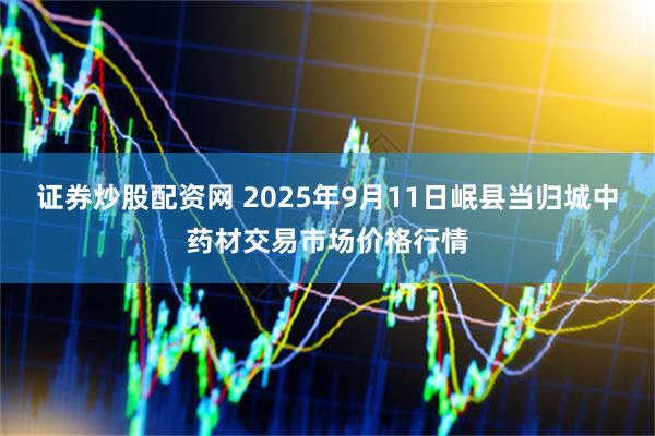 证券炒股配资网 2025年9月11日岷县当归城中药材交易市场价格行情