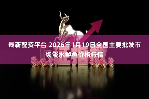 最新配资平台 2026年1月19日全国主要批发市场淡水鲈鱼价格行情
