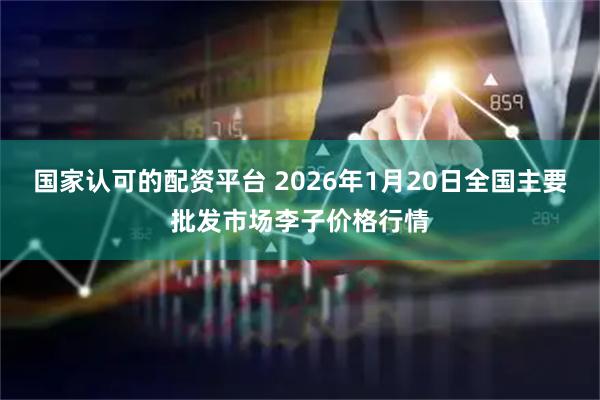 国家认可的配资平台 2026年1月20日全国主要批发市场李子价格行情